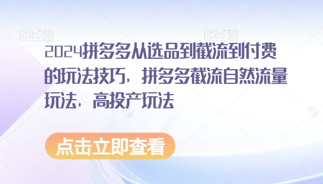 2024拼多多从选品到截流到付费的玩法技巧，拼多多截流自然流量玩法，高投产玩法-靠创业轻松赚钱？[小白网创驿站] 整合稀缺资源，带你实现财富梦小白网创驿站