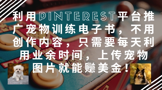 利用Pinterest平台推广宠物训练电子书，不用创作内容，只需要每天利用业余时间，上传宠物图片就能挣美金!-靠创业轻松赚钱？[小白网创驿站] 整合稀缺资源，带你实现财富梦小白网创驿站