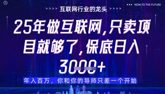什么！25年你还在找项目做？风口早就变了，卖项目才是稳挣不赔【揭秘】-靠创业轻松赚钱？[小白网创驿站] 整合稀缺资源，带你实现财富梦小白网创驿站