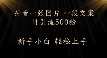 每天2分钟，抖音一张图片 一段文案日引流500粉-靠创业轻松赚钱？[小白网创驿站] 整合稀缺资源，带你实现财富梦小白网创驿站