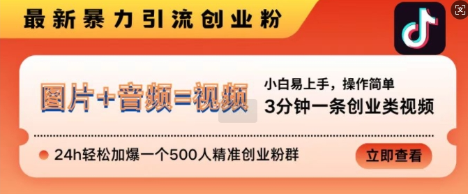 抖音最新暴力引流创业粉，3分钟一条创业类视频，24h轻松加爆一个500人精准创业粉群【揭秘】-靠创业轻松赚钱？[小白网创驿站] 整合稀缺资源，带你实现财富梦小白网创驿站