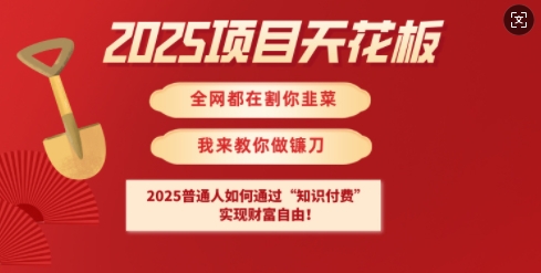 2025项目天花板普通人如何通过知识付费，实现财F自由【揭秘】-靠创业轻松赚钱？[小白网创驿站] 整合稀缺资源，带你实现财富梦小白网创驿站