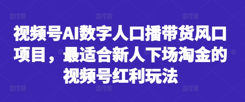 视频号AI数字人口播带货风口项目，最适合新人下场淘金的视频号红利玩法-靠创业轻松赚钱？[小白网创驿站] 整合稀缺资源，带你实现财富梦小白网创驿站