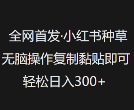 全网首发，小红书种草无脑操作，复制黏贴即可，轻松日入3张-靠创业轻松赚钱？[小白网创驿站] 整合稀缺资源，带你实现财富梦小白网创驿站