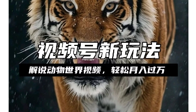 利用动物世界解说视频，赚分成计划收益，轻松月入过W，操作简单【揭秘】-靠创业轻松赚钱？[小白网创驿站] 整合稀缺资源，带你实现财富梦小白网创驿站