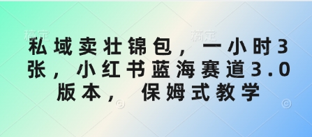私域卖壮锦包，一小时3张，小红书蓝海赛道3.0版本， 保姆式教学-靠创业轻松赚钱？[小白网创驿站] 整合稀缺资源，带你实现财富梦小白网创驿站