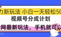 （14815期）视频号分成计划，全网最暴力玩法，新手一天也能轻松500+-靠创业轻松赚钱？[小白网创驿站] 整合稀缺资源，带你实现财富梦小白网创驿站