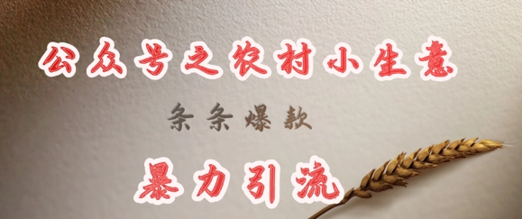 deepseek写农村小项目，条条爆款，暴力引流-靠创业轻松赚钱？[小白网创驿站] 整合稀缺资源，带你实现财富梦小白网创驿站