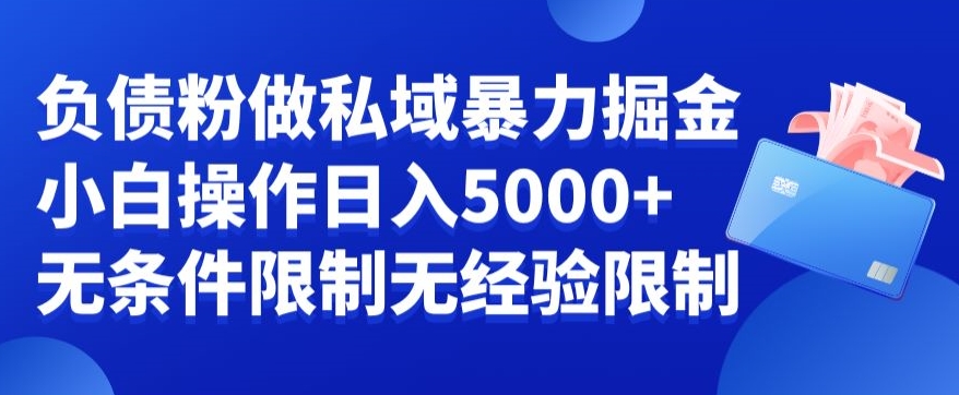 负债粉私域暴力掘金，小白操作入5000，无经验限制，无条件限制【揭秘】-靠创业轻松赚钱？[小白网创驿站] 整合稀缺资源，带你实现财富梦小白网创驿站