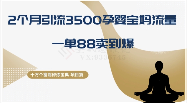 十万个富翁修炼宝典之13.2个月引流3500孕婴宝妈流量，一单88卖到爆-靠创业轻松赚钱？[小白网创驿站] 整合稀缺资源，带你实现财富梦小白网创驿站