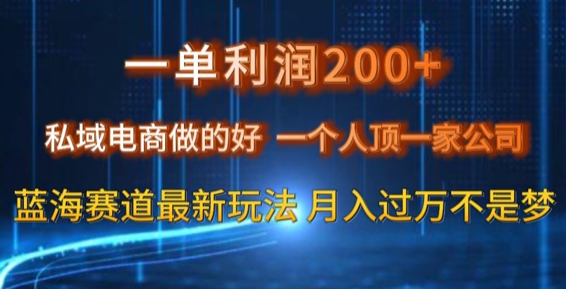 一单利润200私域电商做的好，一个人顶一家公司蓝海赛道最新玩法【揭秘】-靠创业轻松赚钱？[小白网创驿站] 整合稀缺资源，带你实现财富梦小白网创驿站