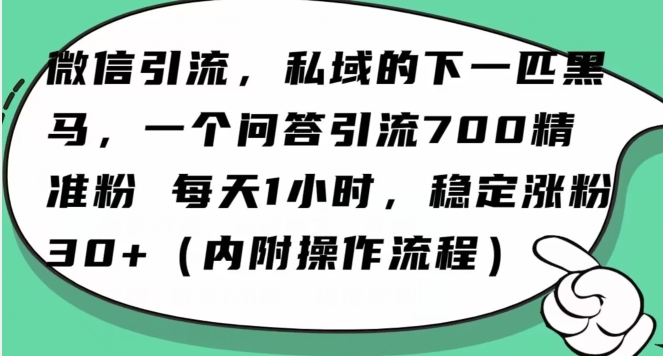 怎么搞精准创业粉？微信新赛道，每天一小时，利用Ai一个问答日引100精准粉-靠创业轻松赚钱？[小白网创驿站] 整合稀缺资源，带你实现财富梦小白网创驿站
