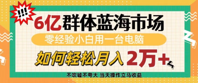 6亿群体蓝海市场，零经验小白用一台电脑，如何轻松月入过w【揭秘】-靠创业轻松赚钱？[小白网创驿站] 整合稀缺资源，带你实现财富梦小白网创驿站