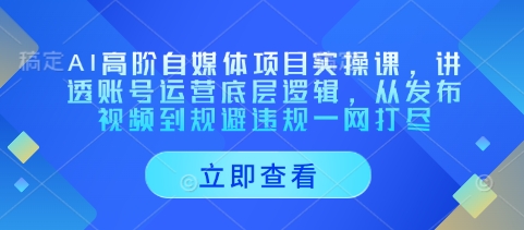 AI高阶自媒体项目实操课，讲透账号运营底层逻辑，从发布视频到规避违规一网打尽-靠创业轻松赚钱？[小白网创驿站] 整合稀缺资源，带你实现财富梦小白网创驿站