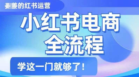 小红书电商全流程，精简易懂，从入门到精通，学这一门就够了-靠创业轻松赚钱？[小白网创驿站] 整合稀缺资源，带你实现财富梦小白网创驿站