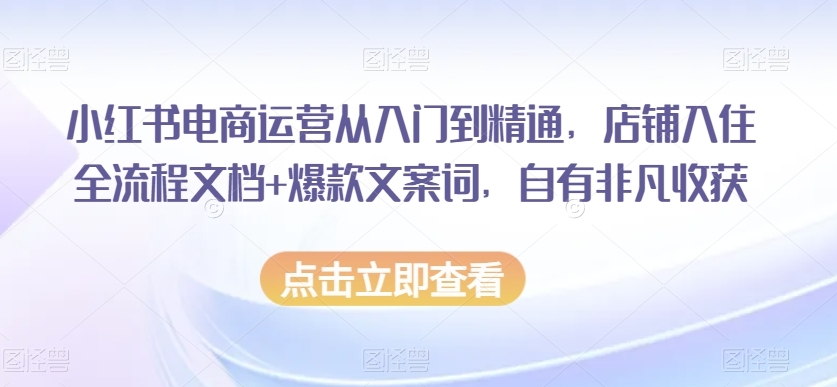 小红书电商运营从入门到精通，店铺入住全流程文档+爆款文案词，自有非凡收获-靠创业轻松赚钱？[小白网创驿站] 整合稀缺资源，带你实现财富梦小白网创驿站