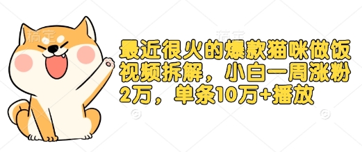 最近很火的爆款猫咪做饭视频拆解，小白一周涨粉2万，单条10万+播放(附保姆级教程)-靠创业轻松赚钱？[小白网创驿站] 整合稀缺资源，带你实现财富梦小白网创驿站