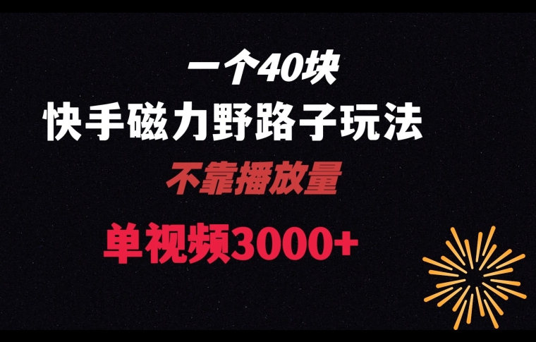 一个40块，快手联合美团磁力新玩法，无视机制野路子玩法，单视频收益4位数【揭秘】-靠创业轻松赚钱？[小白网创驿站] 整合稀缺资源，带你实现财富梦小白网创驿站
