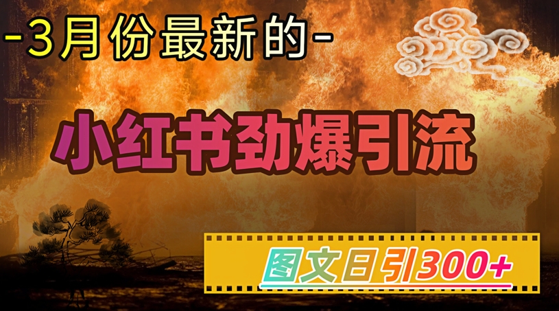 小红书超劲爆引流手段，图文日引300+轻松变现1W-靠创业轻松赚钱？[小白网创驿站] 整合稀缺资源，带你实现财富梦小白网创驿站