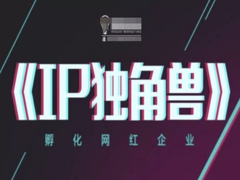 IP独角兽，孵化网红企业，ip教程-靠创业轻松赚钱？[小白网创驿站] 整合稀缺资源，带你实现财富梦小白网创驿站